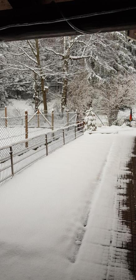 Ferienhaus Auszeit 塞埃巴克 外观 照片